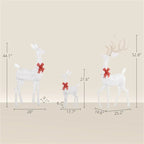 Reindeer Family Christmas Decoration